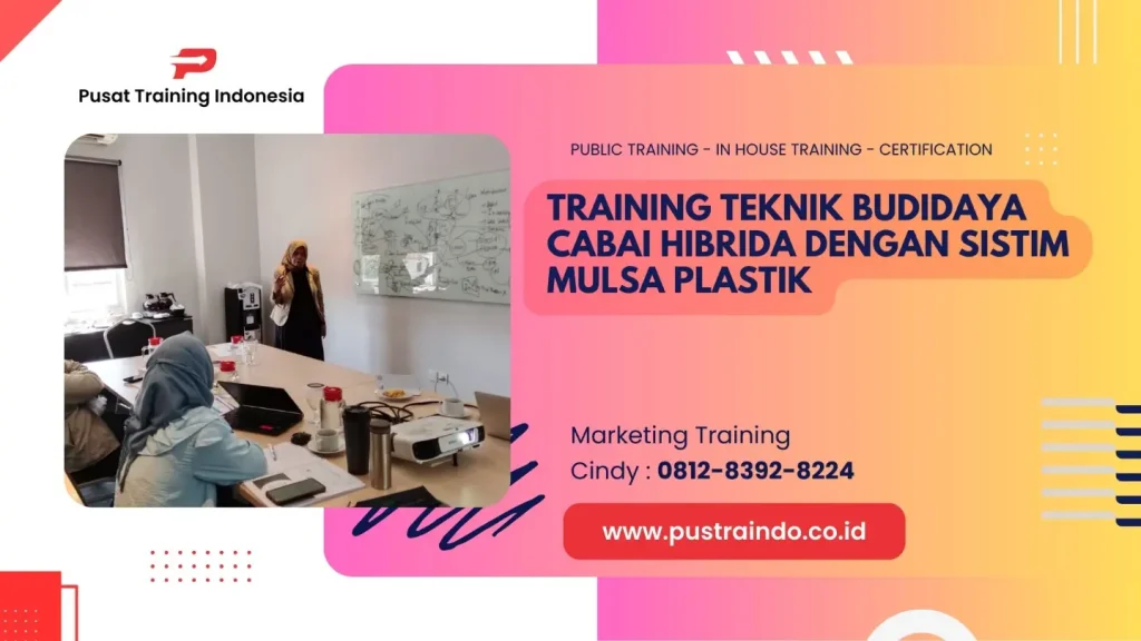 TRAINING TEKNIK BUDIDAYA CABAI HIBRIDA DENGAN SISTIM MULSA PLASTIK